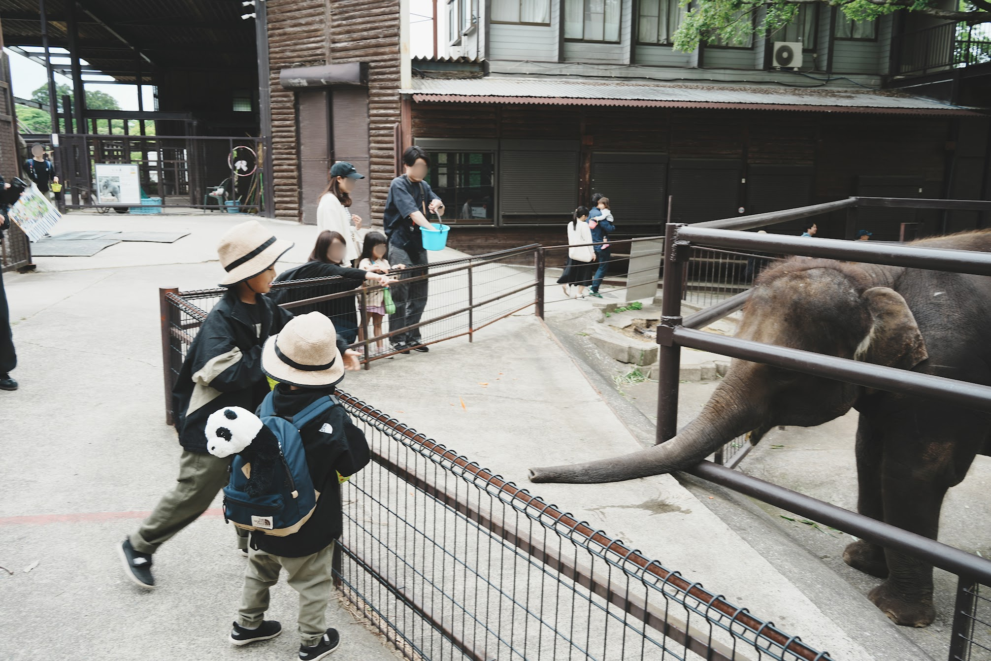 市原ぞうの国。ぞうに餌やりする子供達