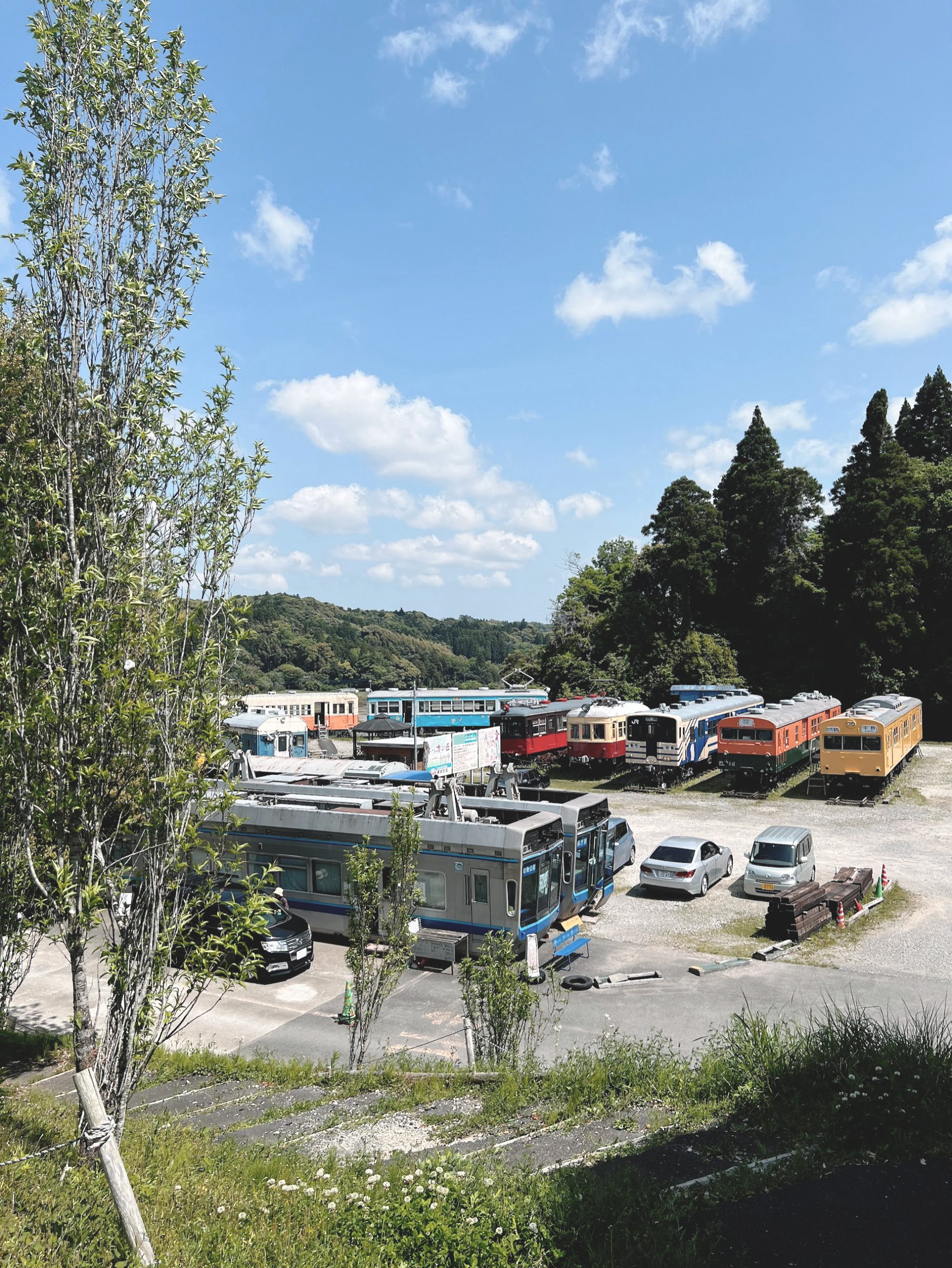 ポッポの丘。丘の上から車両が一望できる。