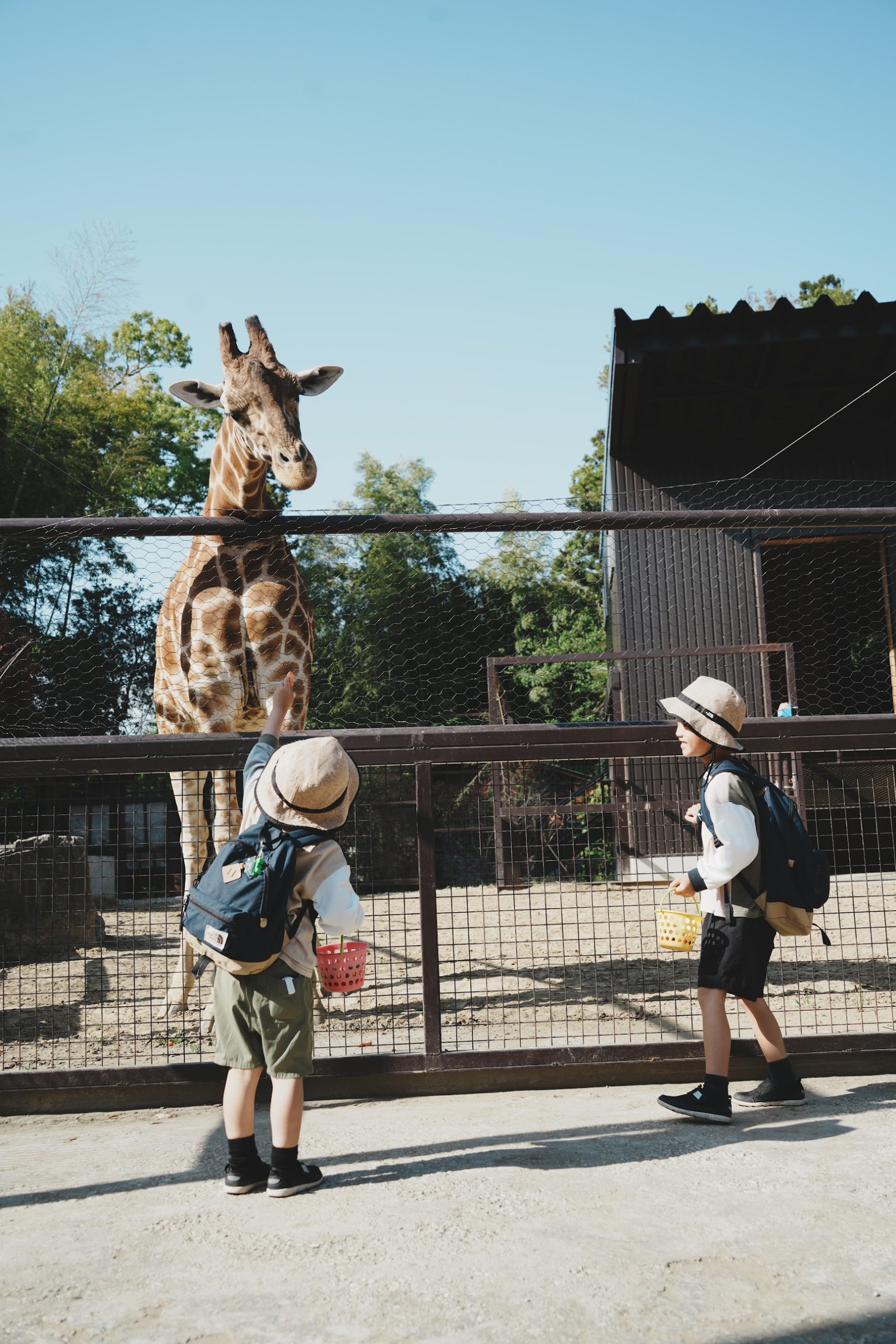 サユリワールド園内、キリンと子供達の写真