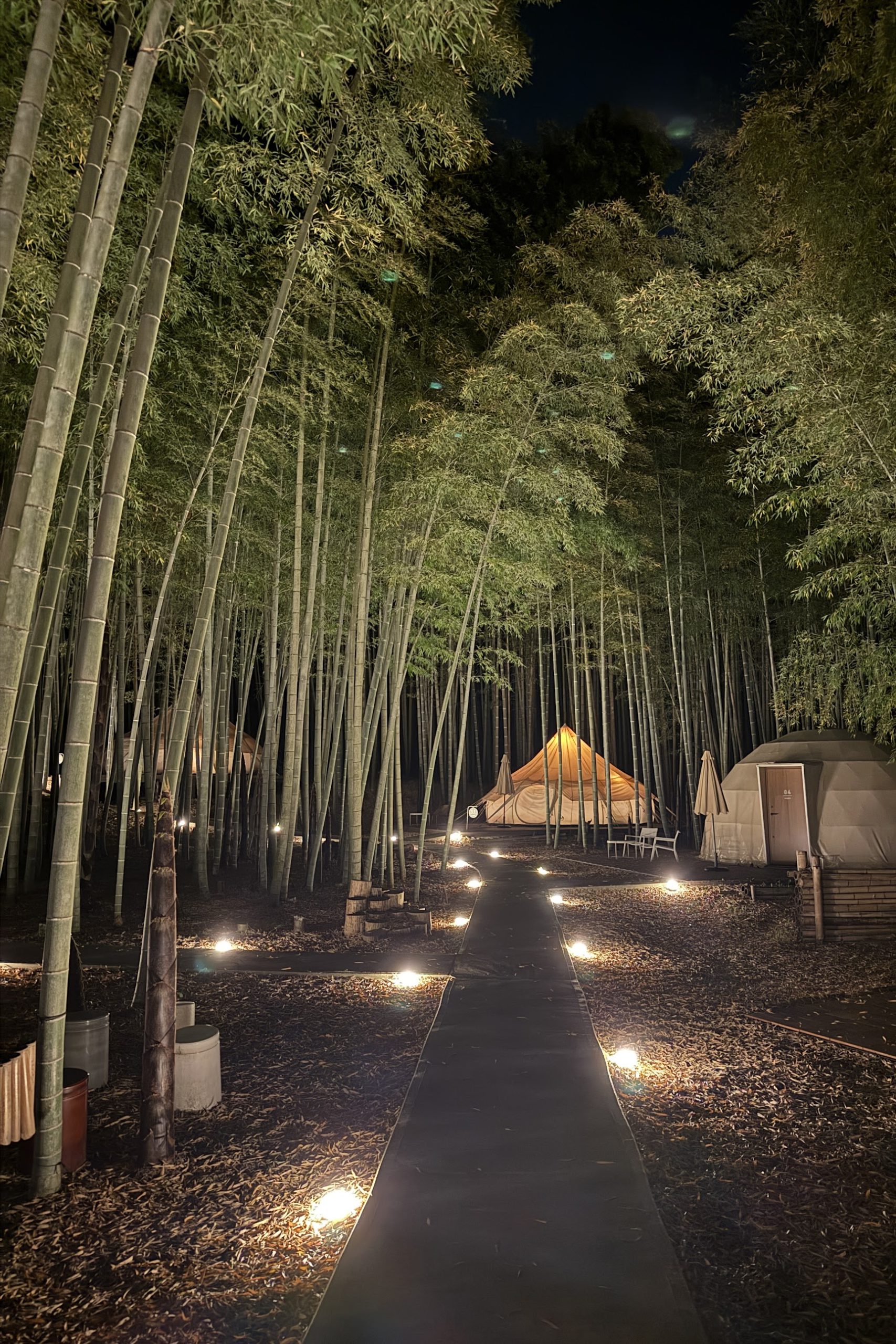 夜はライトアップされる The Bamboo Forest の宿泊エリア