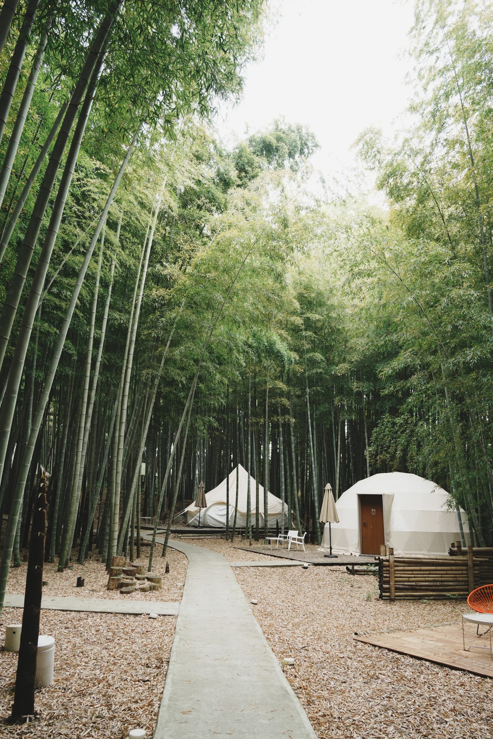 竹林の中にある bamboo forest 宿泊エリアの写真