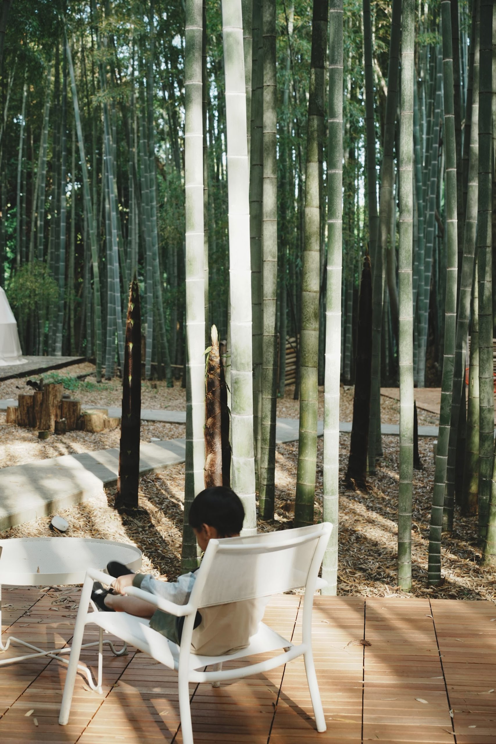 the bamboo forest ドームテント前