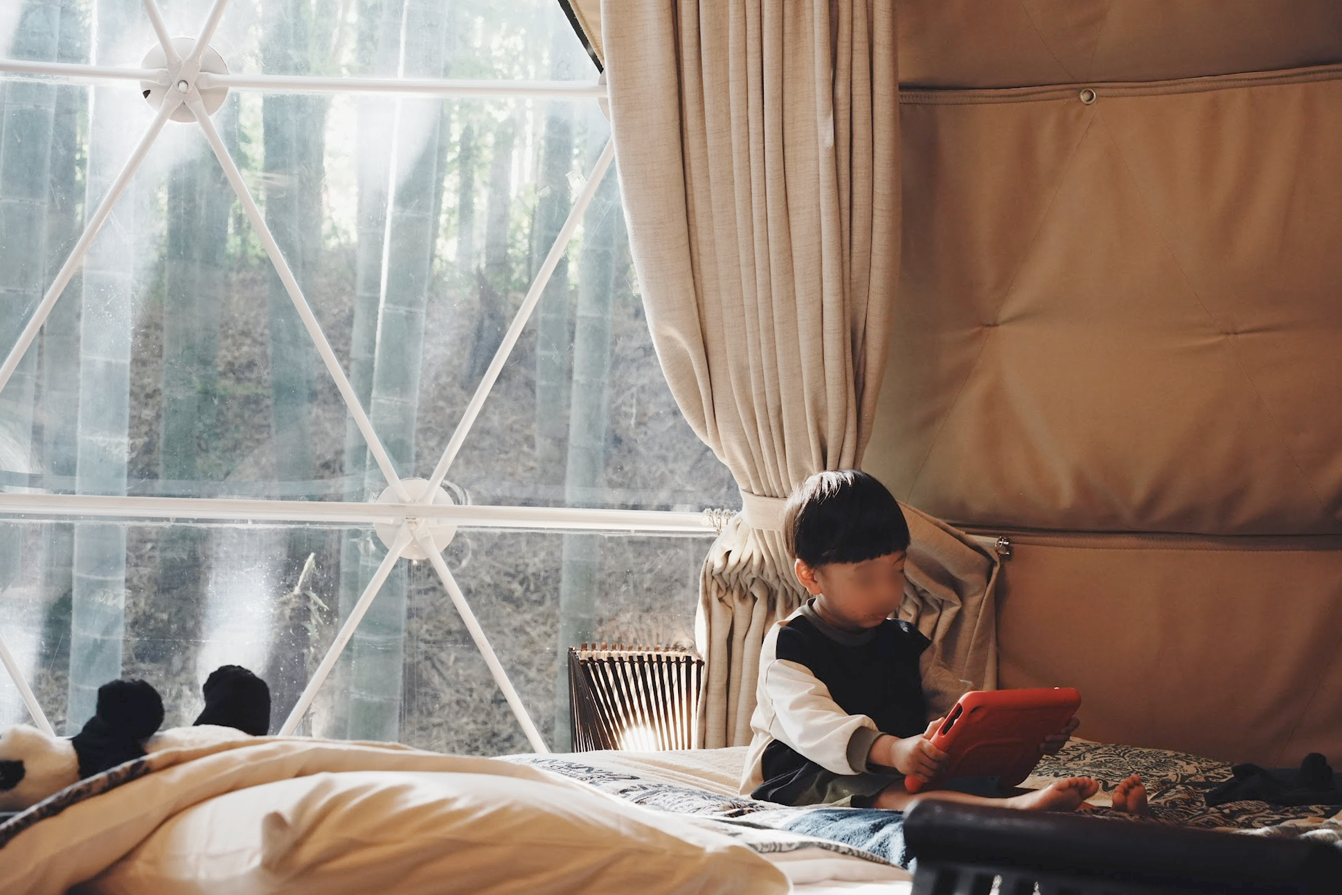 the bamboo forest ドームテント内