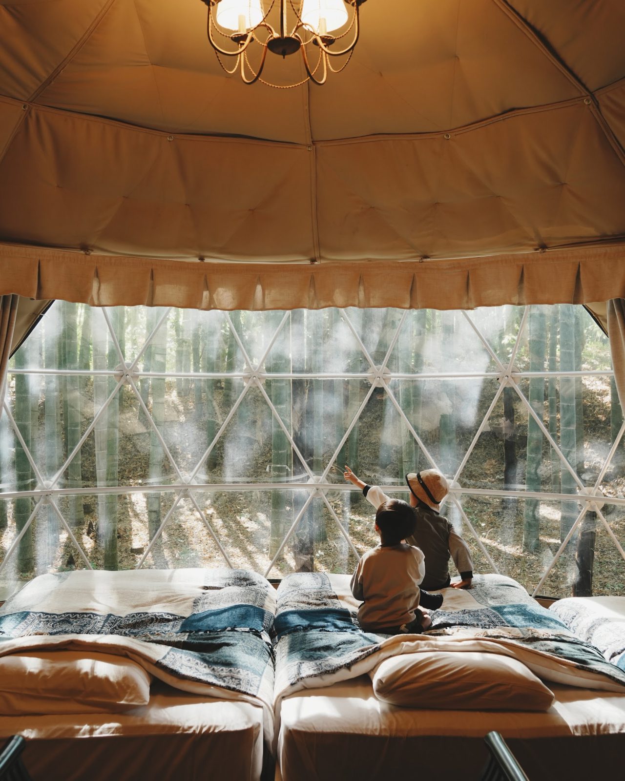 The Bamboo Forest ドームテントの中から見える竹林