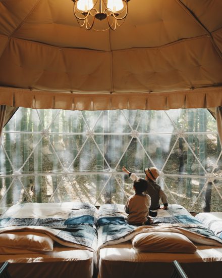 The Bamboo Forest と市原ゾウの国の写真記録